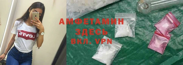 спиды Щигры