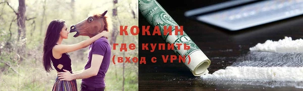 трава Новодвинск