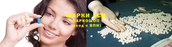 mdpv Снежногорск
