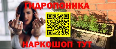 Альфа ПВП Абакан