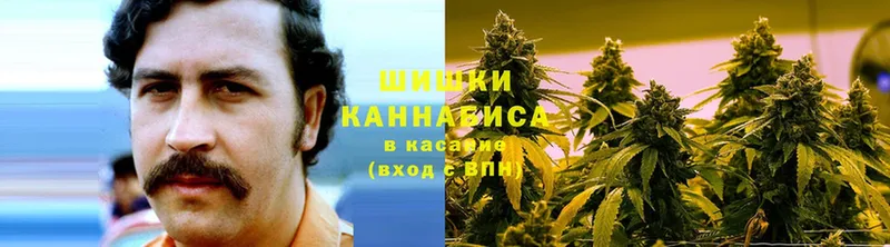 Шишки марихуана OG Kush  Кизляр 