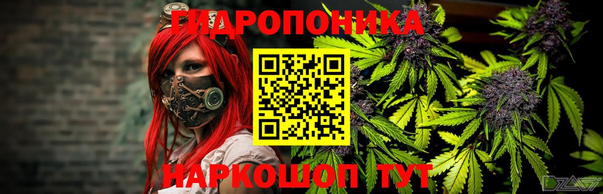 Бошки марихуана White Widow  Канабис OG Kush  Кизляр 