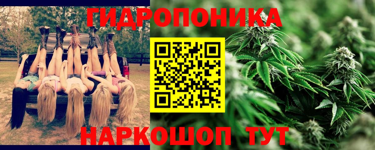 Конопля гибрид  Канабис индика  Вход с VPN  Кизляр  МАРИХУАНА AK-47 